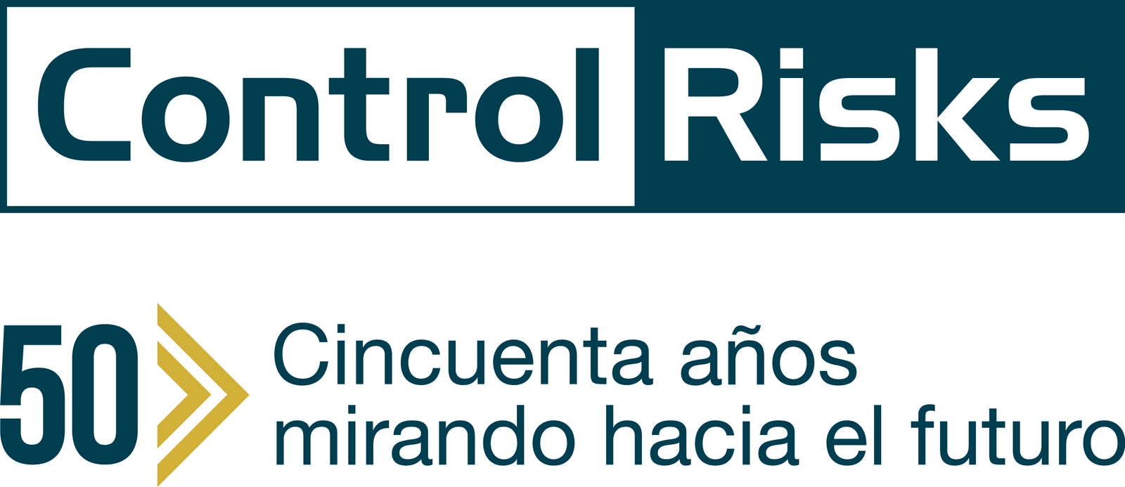 CONTROL RISKS